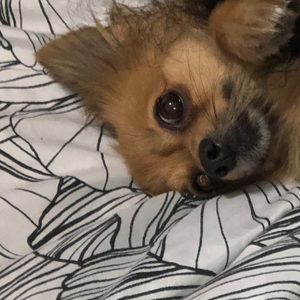 Meet your Posher, Mel